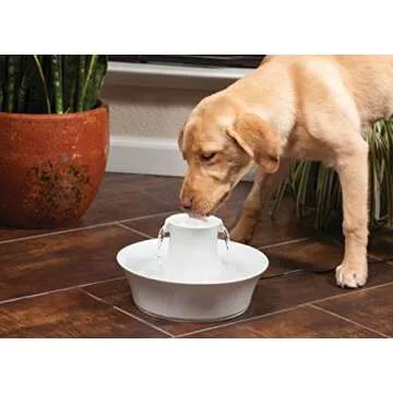 PetSafe Drinkwell Avalon Ceramic Pet Water Fountain