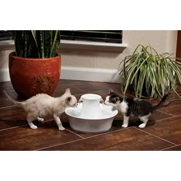 PetSafe Drinkwell Avalon Ceramic Pet Water Fountain