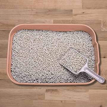 Kitty Litter Box Starter Kit - Small Cat Litter Pan Without Lid, Litter Mat, Scoop and Bowl for Kitten Within 3 Months (PinkScoop Set)