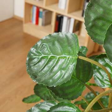 Kazeila 2 Pack Artificial Aralia Balfour Tree,Fake Greenery Plant,Come with Woven Seagrass Belly Basket,Indoor Modern Decoration,6 Feet