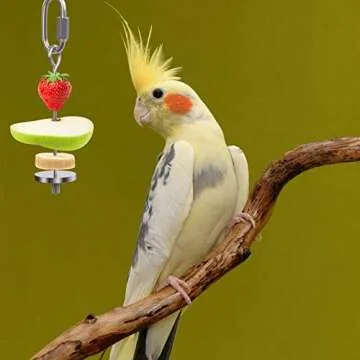 QBLEEV Bird Food Holder, Bird Feeders, Stainless Steel Parrot Fruit Vegetable Stick Holder, Foraging Toy, Bird Treat Skewer Large Size