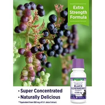 Nature's Truth Black Elderberry Extract 4250mg | 8 oz Syrup | Super Concentrated Sambucus Supplement | Vegan, Non-GMO, Gluten Free