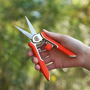 Flora Guard 6.5 Inch Pruning Shears for Gardening Enthusiasts