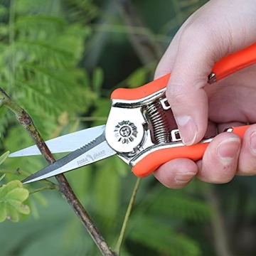 Flora Guard 6.5 Inch Pruning Shears for Gardening Enthusiasts