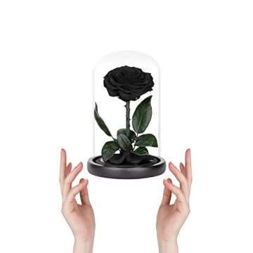 Preserved Roses Black Roses in Glass Dome, Medium, Real Rose That Last 2 to 3 Years, Black Roses Gifts for Her (7.5 inch)