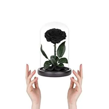 Preserved Roses Black Roses in Glass Dome, Medium, Real Rose That Last 2 to 3 Years, Black Roses Gifts for Her (7.5 inch)