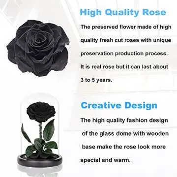 Preserved Roses Black Roses in Glass Dome, Medium, Real Rose That Last 2 to 3 Years, Black Roses Gifts for Her (7.5 inch)