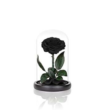 Preserved Roses Black Roses in Glass Dome, Medium, Real Rose That Last 2 to 3 Years, Black Roses Gifts for Her (7.5 inch)