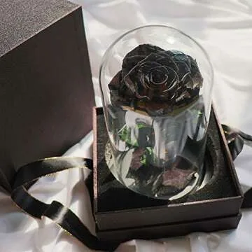 Preserved Roses Black Roses in Glass Dome, Medium, Real Rose That Last 2 to 3 Years, Black Roses Gifts for Her (7.5 inch)