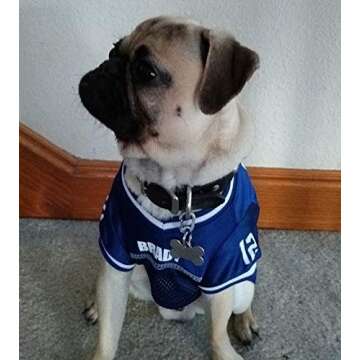 LuckyPet Klippy Pet Tag Quick Clips - Cat & Dog Collar Clips for Id Tags - Dog Tag Holder for Pet Collar - Efficient Dog Tag Ring - Pet Tag Attachment Clip for Pet Safety - Black, 2 Pack