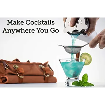 Premium 17-Piece Travel Bartender Kit for Home Mixology