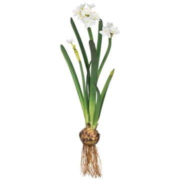 Sullivans 20" Paperwhite Flower Bulb Stem - Lifelike Decor