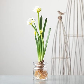 Sullivans 20" Paperwhite Flower Bulb Stem - Lifelike Decor