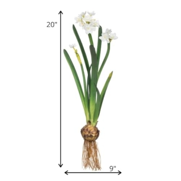 Sullivans 20" Paperwhite Flower Bulb Stem - Lifelike Decor