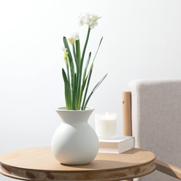 Sullivans 20" Paperwhite Flower Bulb Stem - Lifelike Decor