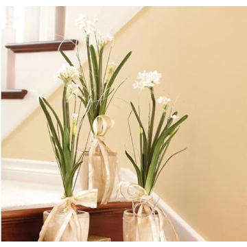Sullivans 20" Paperwhite Flower Bulb Stem - Lifelike Decor
