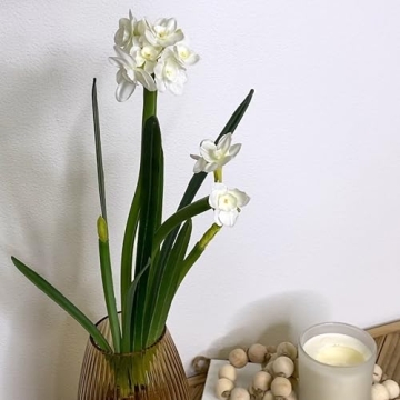 Sullivans 20" Paperwhite Flower Bulb Stem - Lifelike Decor