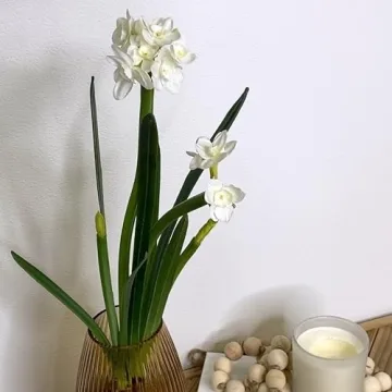 Sullivans 20" Paperwhite Flower Bulb Stem - Lifelike Decor