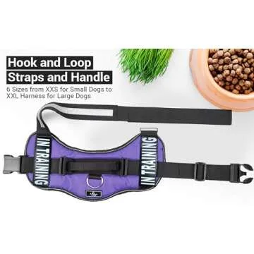 Service Dog in Training Vest - Adjustable No Pull Dog Harness with Patches. in Training Dog Vest for Service Dogs Small, Medium and Large Easy On/Off Dog in Training Harness for Service Dog Training