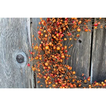 The Wreath Depot Weston Fall Berry Wreath, Handcrafted Designer Berry Wreath Spruces Up Your Decor, 24 Inches, Beautiful White Gift Box Included