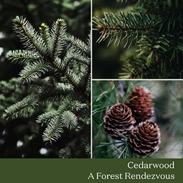 LA JOLIE MUSE Fir & Cedarwood Candle Beautiful Aromas