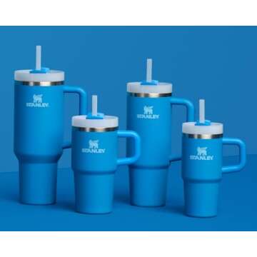 Stanley Quencher H2.0 Tumbler with Handle & Straw 14 oz | Twist On 3-Way Lid | Cupholder Compatible for Travel | Insulated Stainless Steel Cup | BPA-Free | Azure