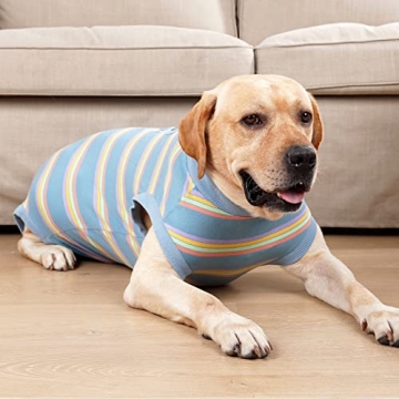 Dog Recovery Suit for Surgery Healing Without the Cone