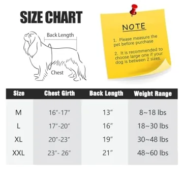 Dog Recovery Suit for Surgery Healing Without the Cone