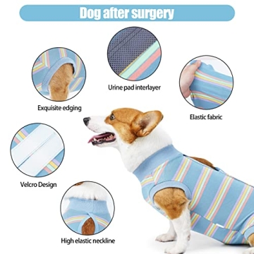 Dog Recovery Suit for Surgery Healing Without the Cone