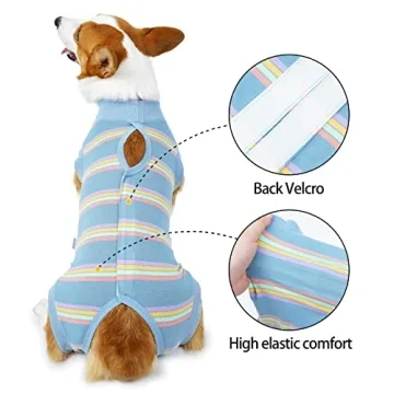 Dog Recovery Suit for Surgery Healing Without the Cone