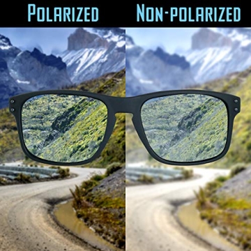 Stylish Polarized Sunglasses for Men with Case