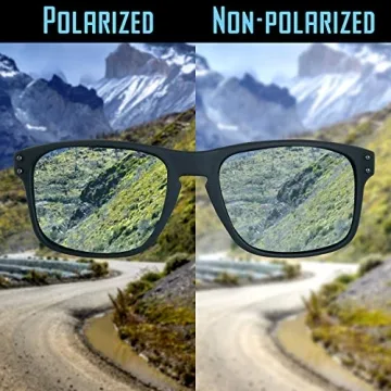 Stylish Polarized Sunglasses for Men with Case