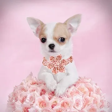 Valentine's Heart Dog Collar, Detachable Flower, Adjustable