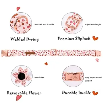 Valentine's Heart Dog Collar, Detachable Flower, Adjustable