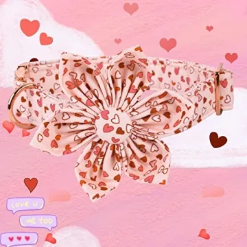 Valentine's Heart Dog Collar, Detachable Flower, Adjustable