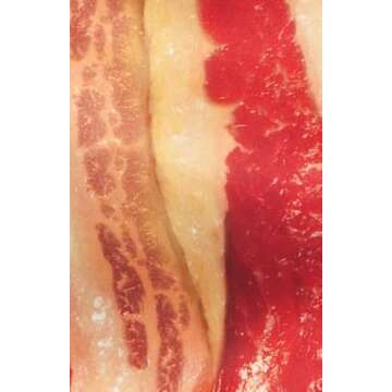 Rasta Imposta Bacon Strip Costume - Hilarious Fun Wear