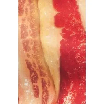 Rasta Imposta Bacon Strip Costume - Hilarious Fun Wear