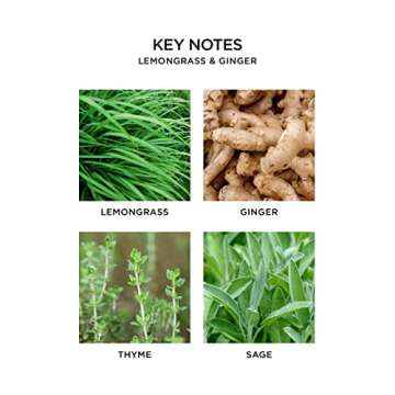 NEST Fragrances Reed Diffuser- Lemongrass & Ginger , 5.9 fl oz - NEST08-LG