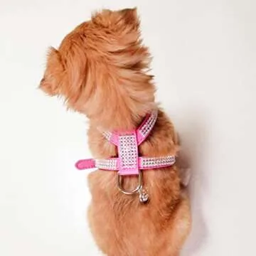 EXPAWLORER Pet Harness-Rhinestone Bling Small Cat Harness with Heart Pendant, Soft Genuine Leather Padded Dog Harness Small Sized Dog for Puppy Cat, Pink