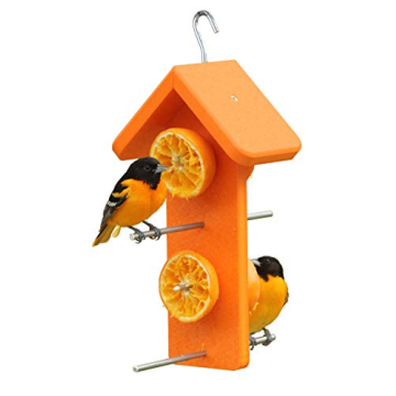 Kettle Moraine Recycled Double Oriole Orange Fruit Feeder
