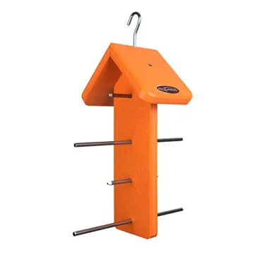 Attract Orioles with Eco-Friendly Orange Fruit Feeder