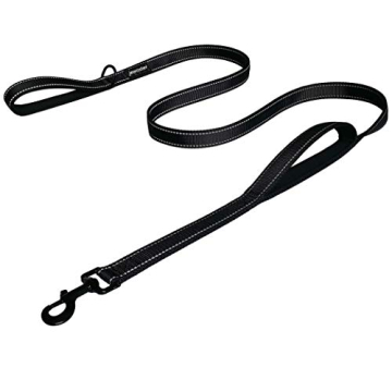 Heavy Duty Dog Leash - 2 Handles for Large Dogs