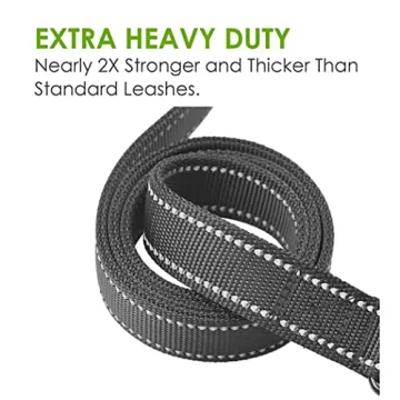 Heavy Duty Dog Leash - 2 Handles for Large Dogs