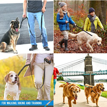 Heavy Duty Dog Leash - 2 Handles for Large Dogs