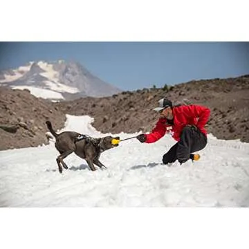 Ruffwear Huck-a-Cone, Durable Interactive Dog Toy