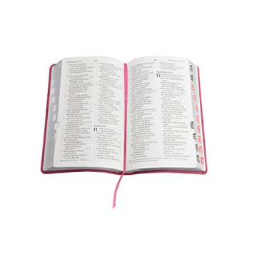 CSB Personal Size Reference Bible in Pink LeatherTouch