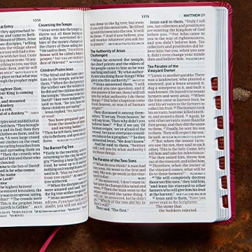 CSB Personal Size Reference Bible in Pink LeatherTouch
