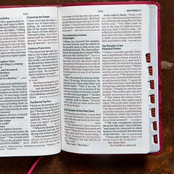 CSB Personal Size Reference Bible in Pink LeatherTouch