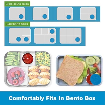 Leakproof Salad Dressing Containers - Eco-friendly and Reusable