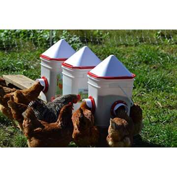 RentACoop 20lb BPA-Free Chicken Feeder with Large Ports - Includes Lid, Anti-Roost Cone, Ports, Rain Hoods - Suitable for Chickens - Corner Placement